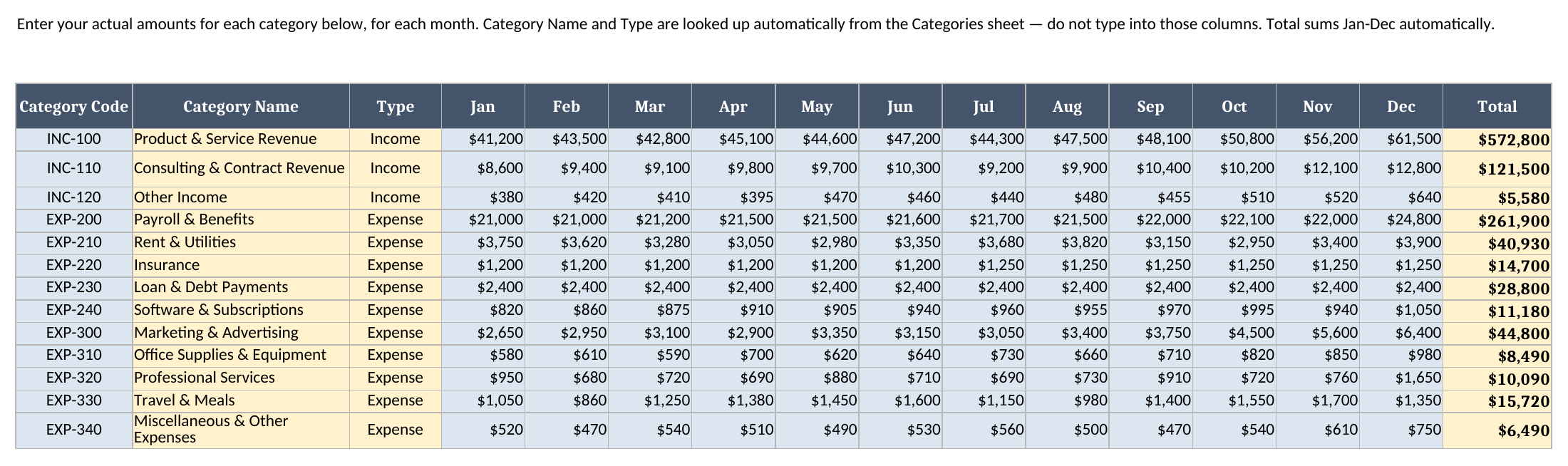 Monthly Actuals Input sheet showing category code, name, type, and actual amounts for Jan through Dec with a Total column