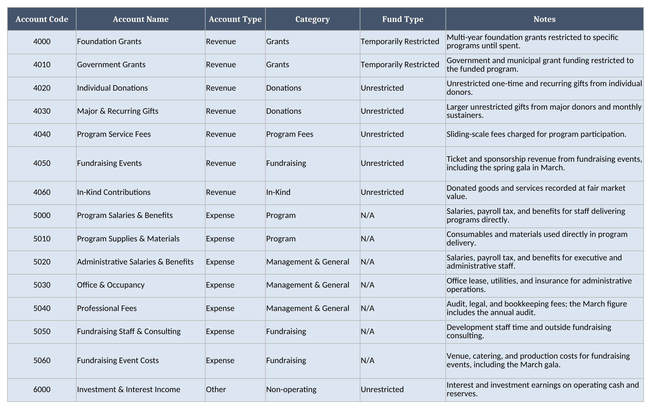 Chart of Accounts sheet showing account code, name, type, category, fund type, and notes for 15 sample nonprofit accounts