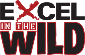 ExcelWild LOGO Color